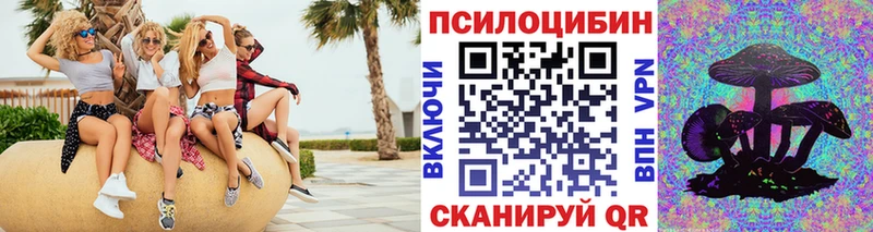 Псилоцибиновые грибы Psilocybine cubensis  где продают   Междуреченск 